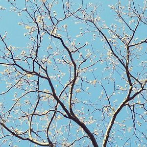 Meet your Posher, Cibeles